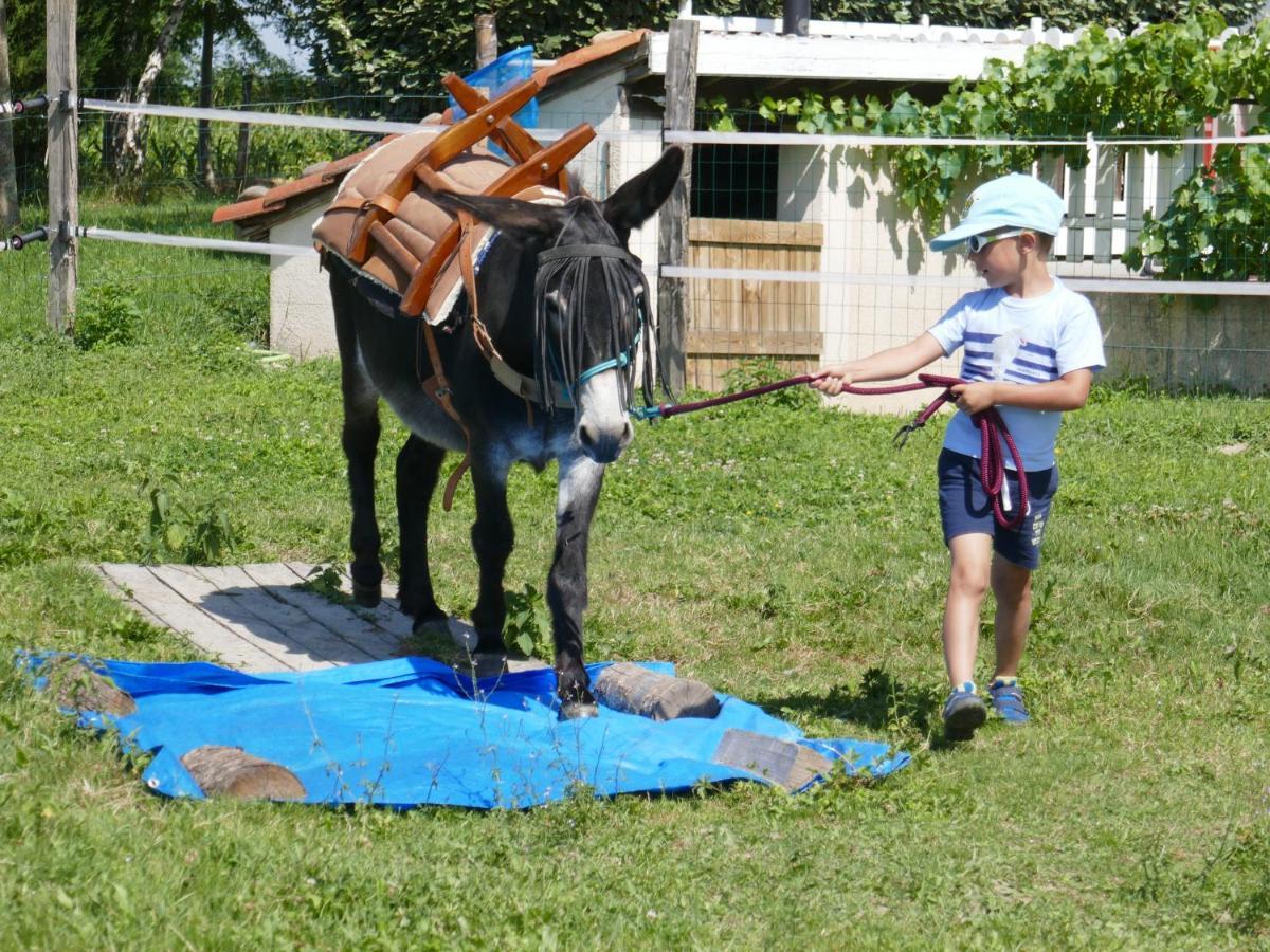 Gite En Comminges Franquevielle ภายนอก รูปภาพ